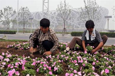 40-miljoen-bloempotjes-china-beijing.jpg